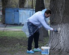 Все на субботник!
